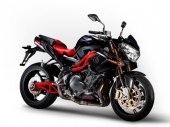 2010 Benelli Tornado Naked Tre 1130 Sport Evo photo